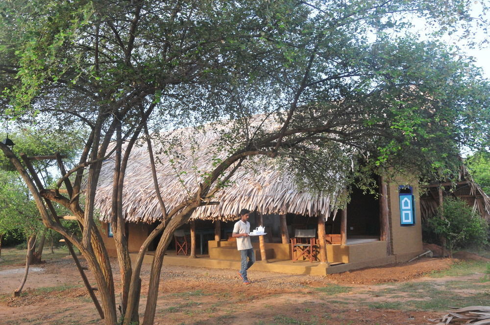 Back Of Beyond Dune Camp Parque nacional Yala Exterior foto