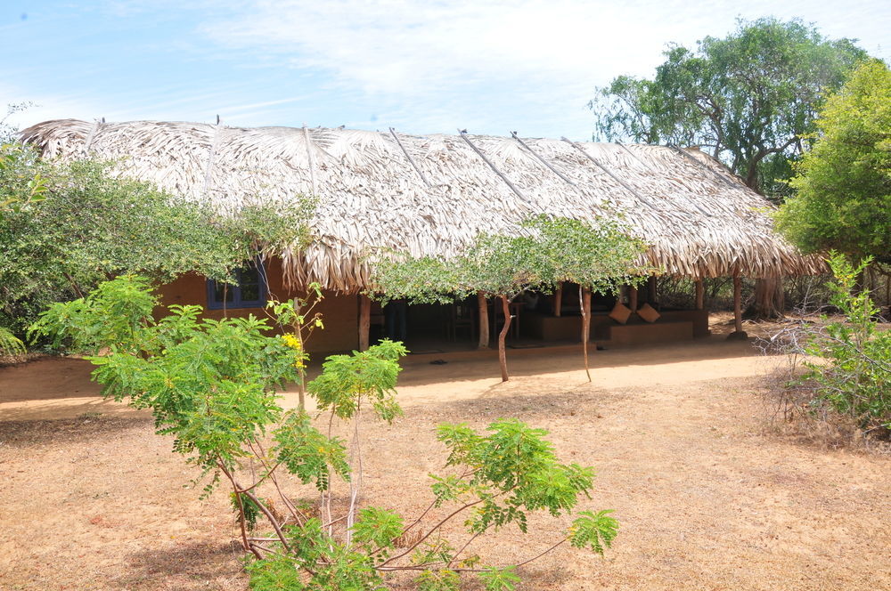 Back Of Beyond Dune Camp Parque nacional Yala Exterior foto