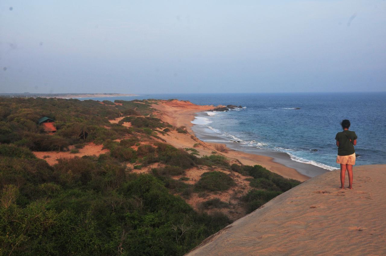 Back Of Beyond Dune Camp Parque nacional Yala Exterior foto