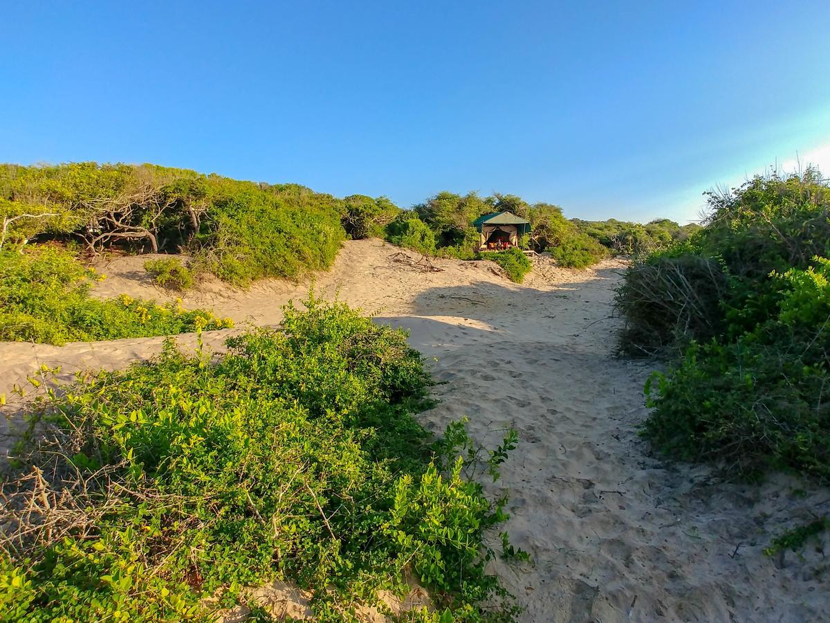 Back Of Beyond Dune Camp Parque nacional Yala Exterior foto