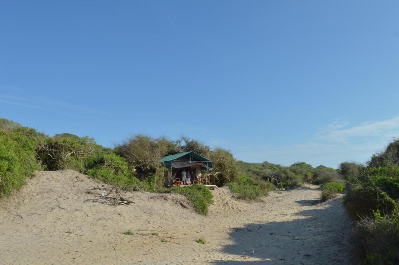 Back Of Beyond Dune Camp Parque nacional Yala Exterior foto